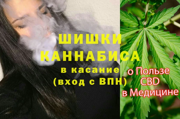 молекула духа Гусев