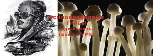 дурь Гусь-Хрустальный