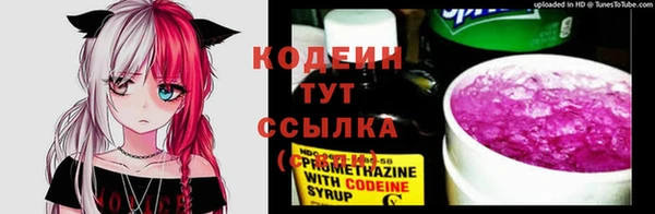 дурь Гусь-Хрустальный