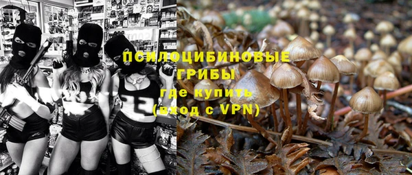 молекула духа Гусев