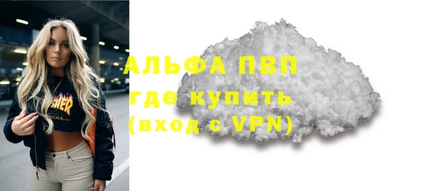 молекула духа Гусев
