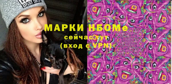 молекула духа Гусев